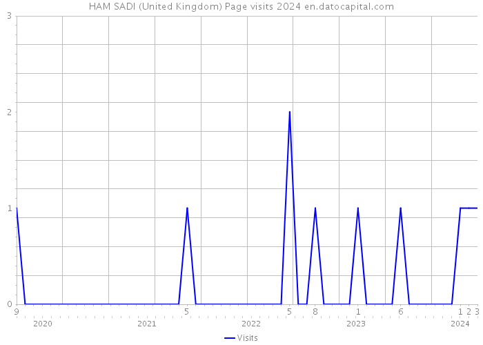 HAM SADI (United Kingdom) Page visits 2024 