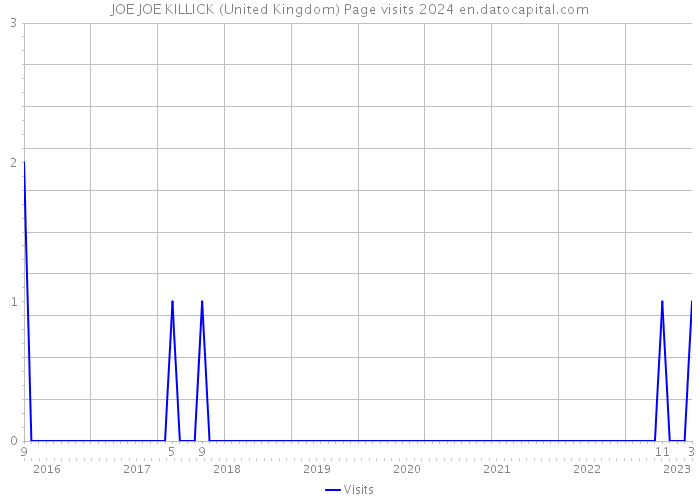 JOE JOE KILLICK (United Kingdom) Page visits 2024 