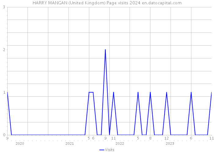 HARRY MANGAN (United Kingdom) Page visits 2024 
