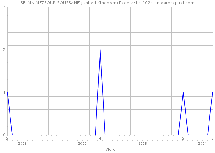 SELMA MEZZOUR SOUSSANE (United Kingdom) Page visits 2024 