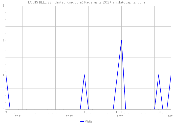 LOUIS BELLIZZI (United Kingdom) Page visits 2024 