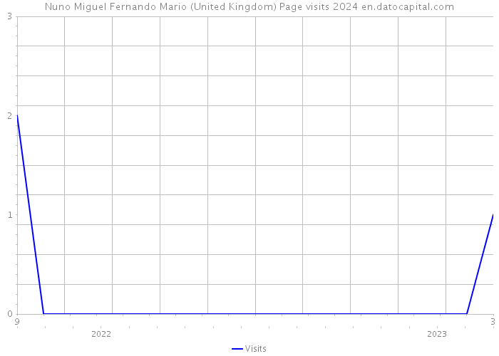 Nuno Miguel Fernando Mario (United Kingdom) Page visits 2024 