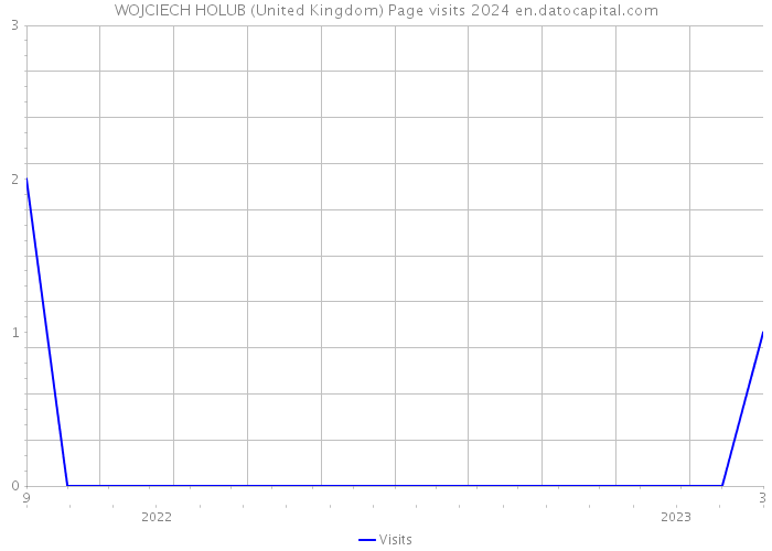 WOJCIECH HOLUB (United Kingdom) Page visits 2024 