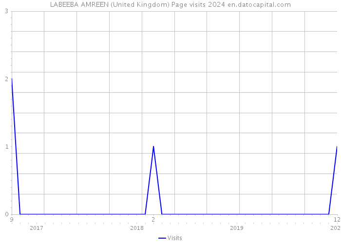 LABEEBA AMREEN (United Kingdom) Page visits 2024 