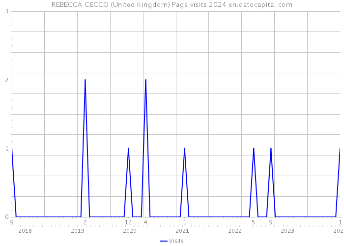 REBECCA CECCO (United Kingdom) Page visits 2024 