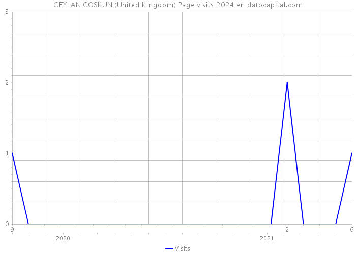 CEYLAN COSKUN (United Kingdom) Page visits 2024 