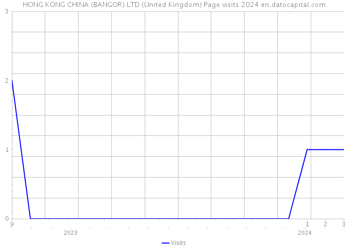 HONG KONG CHINA (BANGOR) LTD (United Kingdom) Page visits 2024 