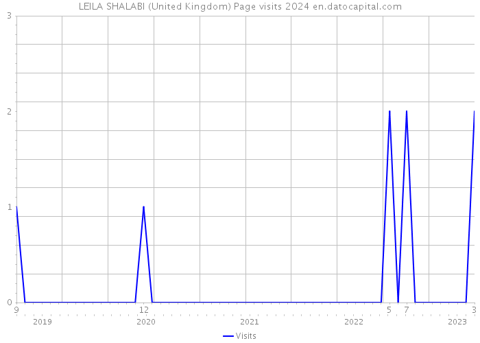 LEILA SHALABI (United Kingdom) Page visits 2024 