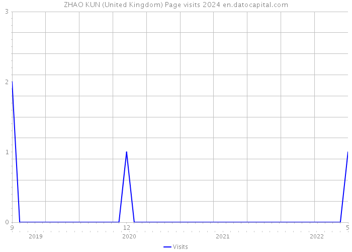 ZHAO KUN (United Kingdom) Page visits 2024 