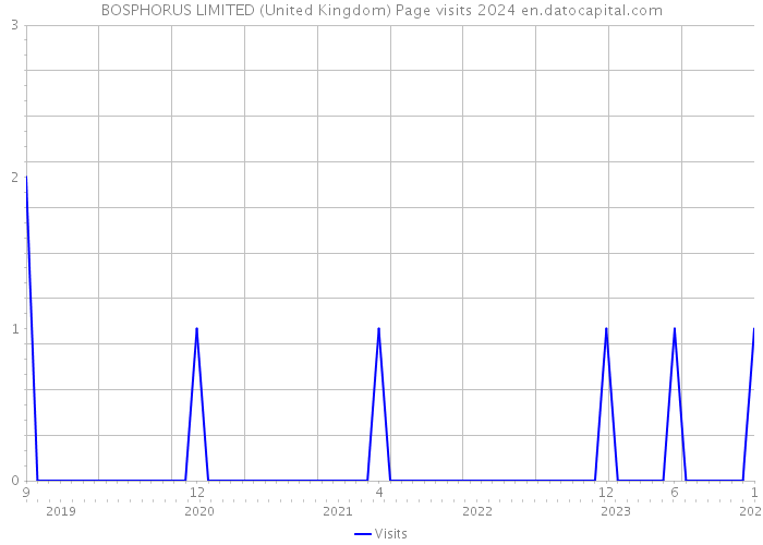 BOSPHORUS LIMITED (United Kingdom) Page visits 2024 