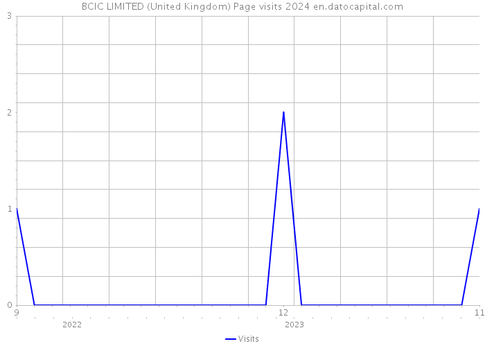 BCIC LIMITED (United Kingdom) Page visits 2024 