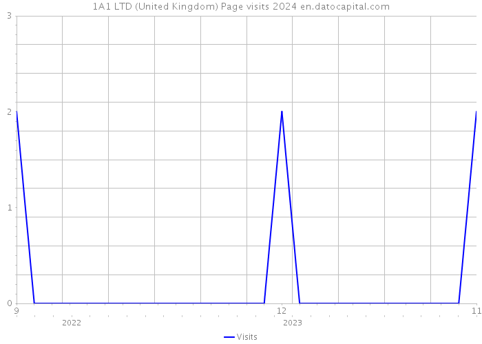 1A1 LTD (United Kingdom) Page visits 2024 