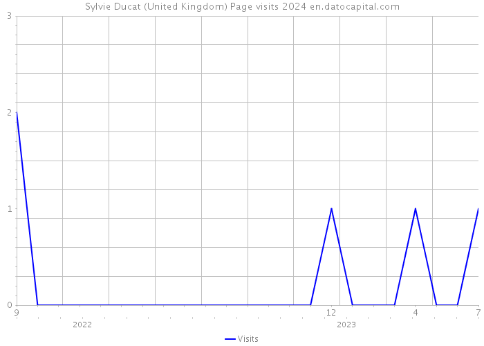 Sylvie Ducat (United Kingdom) Page visits 2024 