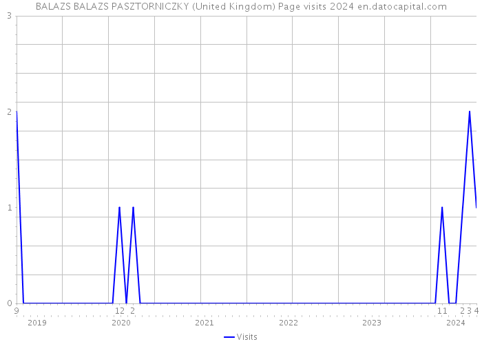 BALAZS BALAZS PASZTORNICZKY (United Kingdom) Page visits 2024 