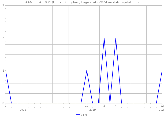 AAMIR HAROON (United Kingdom) Page visits 2024 