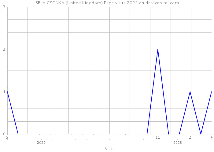 BELA CSONKA (United Kingdom) Page visits 2024 