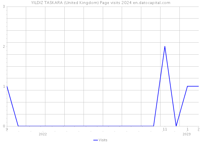 YILDIZ TASKARA (United Kingdom) Page visits 2024 