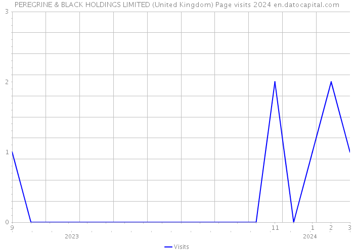 PEREGRINE & BLACK HOLDINGS LIMITED (United Kingdom) Page visits 2024 