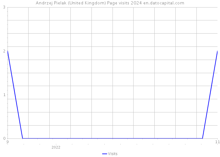 Andrzej Pielak (United Kingdom) Page visits 2024 