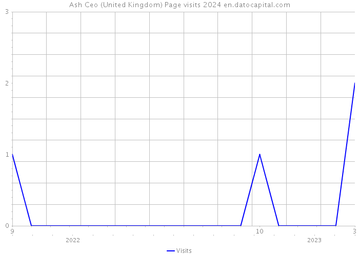 Ash Ceo (United Kingdom) Page visits 2024 