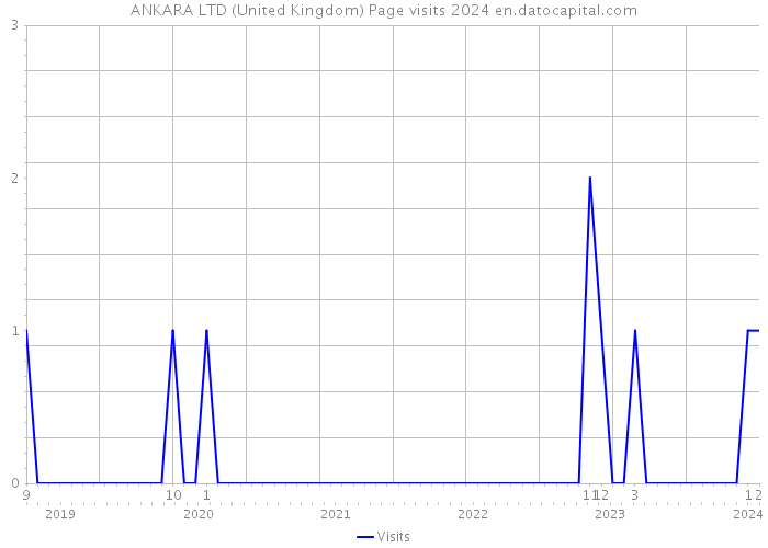ANKARA LTD (United Kingdom) Page visits 2024 