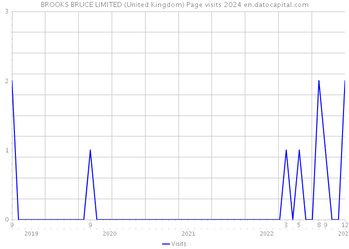 BROOKS BRUCE LIMITED (United Kingdom) Page visits 2024 