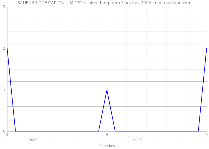 BAUER BRIDGE CAPITAL LIMITED (United Kingdom) Searches 2024 