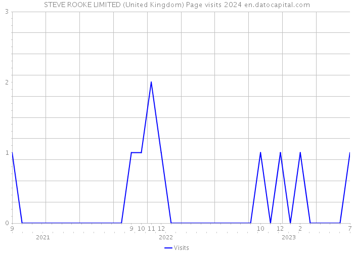 STEVE ROOKE LIMITED (United Kingdom) Page visits 2024 