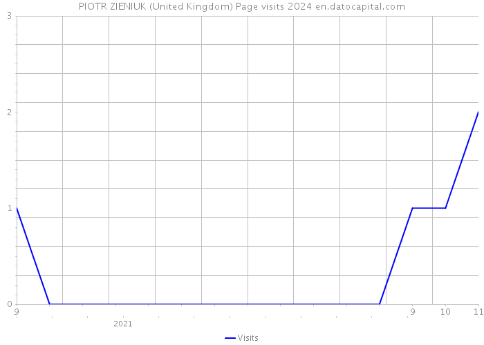 PIOTR ZIENIUK (United Kingdom) Page visits 2024 