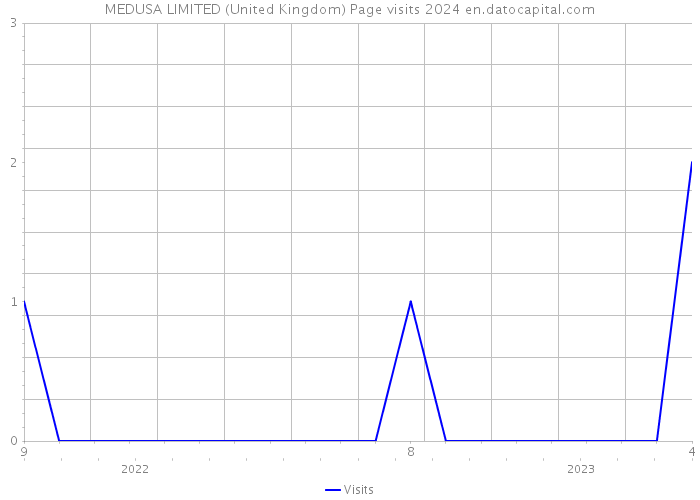 MEDUSA LIMITED (United Kingdom) Page visits 2024 