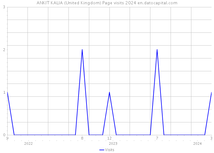 ANKIT KALIA (United Kingdom) Page visits 2024 