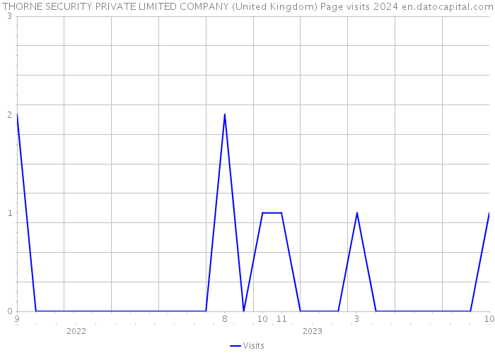 THORNE SECURITY PRIVATE LIMITED COMPANY (United Kingdom) Page visits 2024 