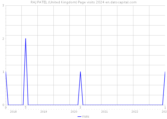 RAJ PATEL (United Kingdom) Page visits 2024 