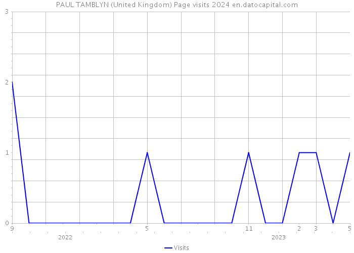 PAUL TAMBLYN (United Kingdom) Page visits 2024 