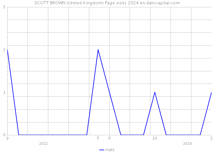 SCOTT BROWN (United Kingdom) Page visits 2024 