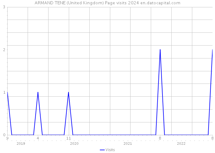 ARMAND TENE (United Kingdom) Page visits 2024 