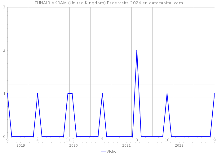 ZUNAIR AKRAM (United Kingdom) Page visits 2024 