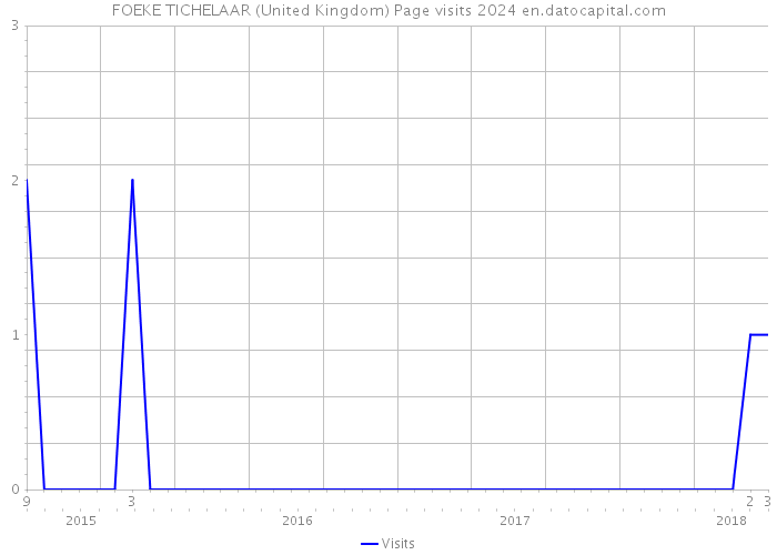 FOEKE TICHELAAR (United Kingdom) Page visits 2024 