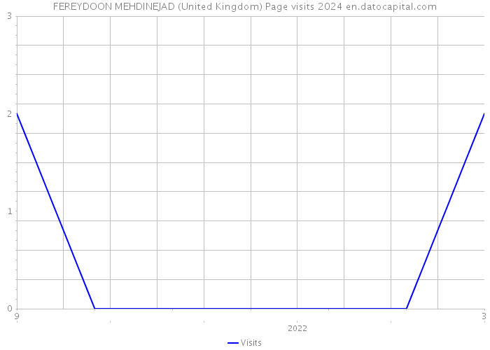 FEREYDOON MEHDINEJAD (United Kingdom) Page visits 2024 