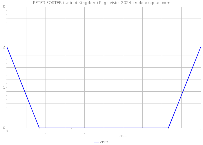 PETER FOSTER (United Kingdom) Page visits 2024 