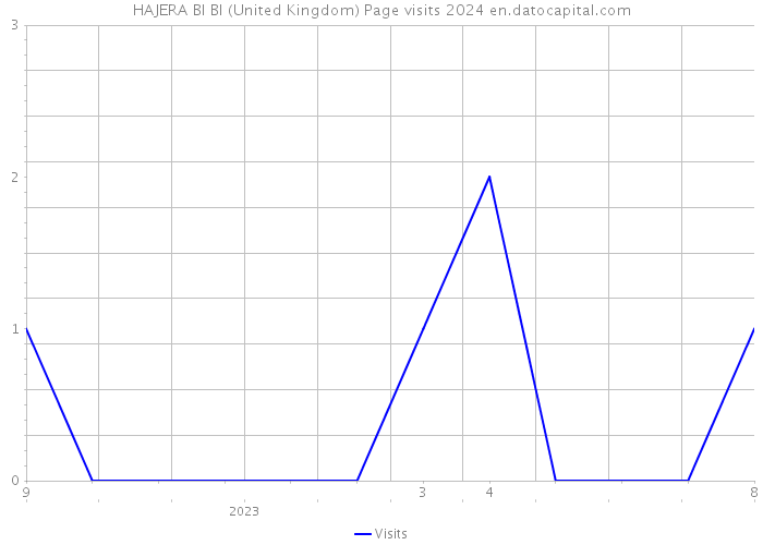 HAJERA BI BI (United Kingdom) Page visits 2024 