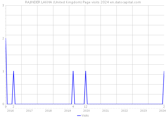RAJINDER LAKHA (United Kingdom) Page visits 2024 