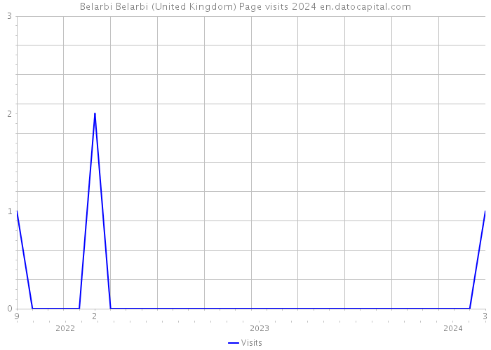 Belarbi Belarbi (United Kingdom) Page visits 2024 