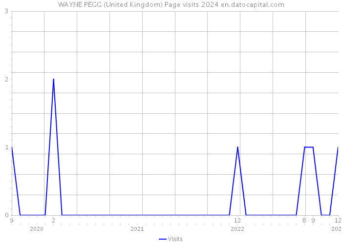 WAYNE PEGG (United Kingdom) Page visits 2024 