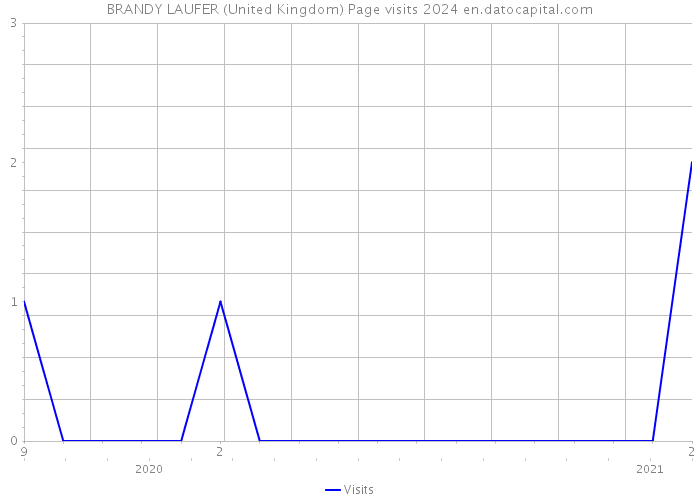 BRANDY LAUFER (United Kingdom) Page visits 2024 