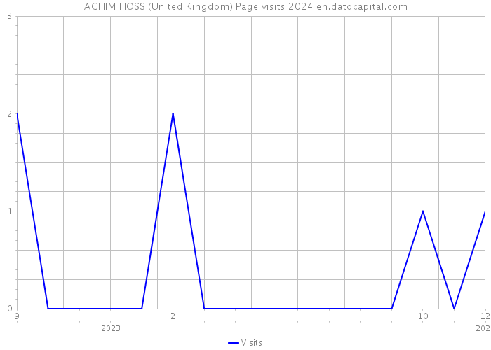 ACHIM HOSS (United Kingdom) Page visits 2024 