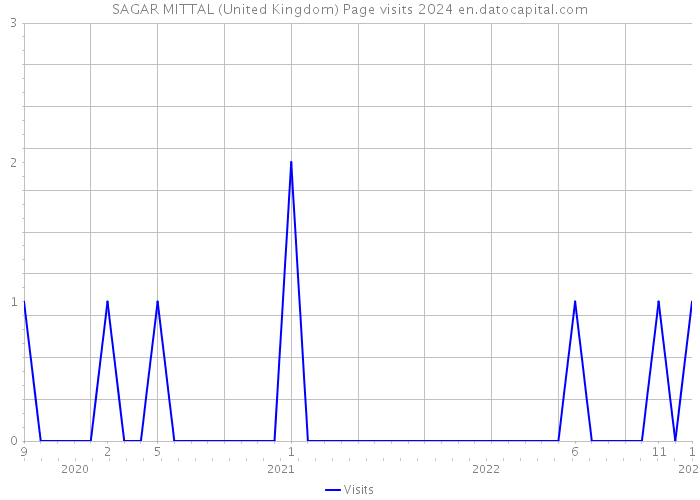 SAGAR MITTAL (United Kingdom) Page visits 2024 