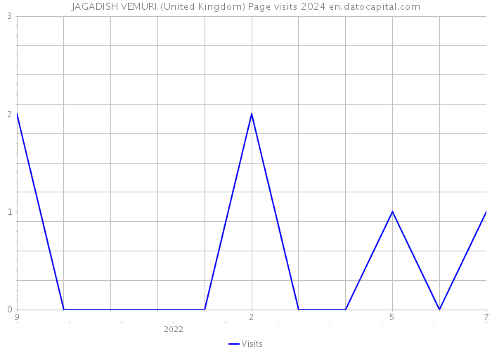 JAGADISH VEMURI (United Kingdom) Page visits 2024 