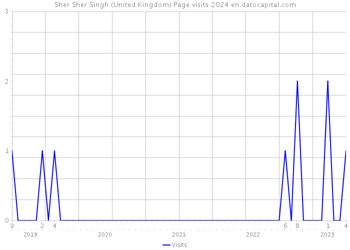 Sher Sher Singh (United Kingdom) Page visits 2024 