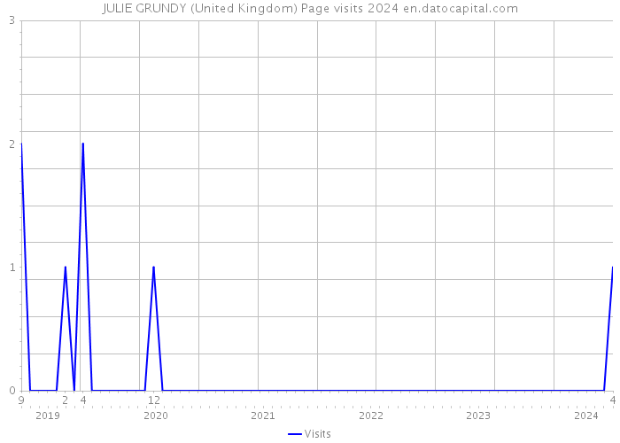 JULIE GRUNDY (United Kingdom) Page visits 2024 